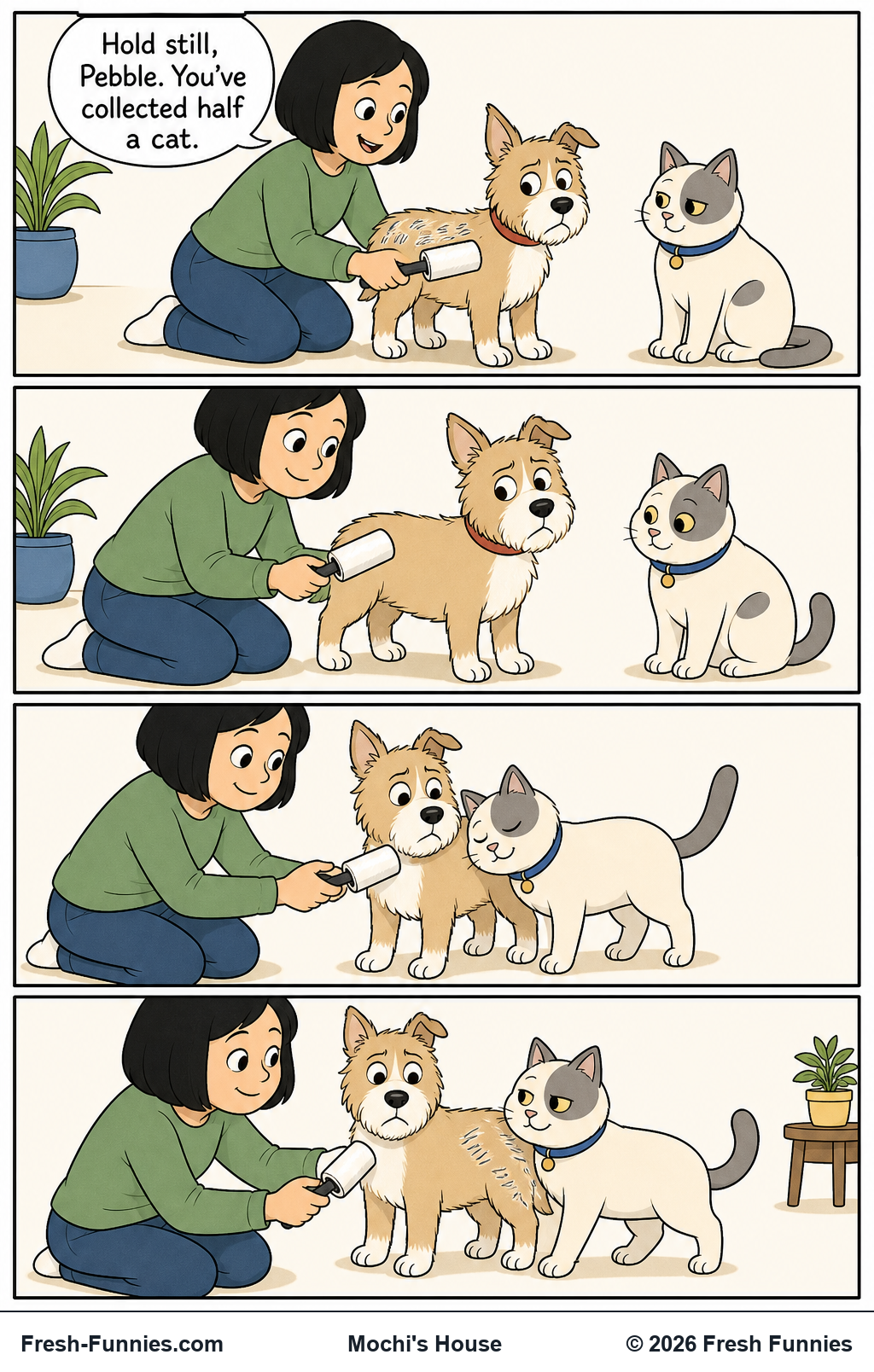 Mochi's House — Fresh Coat