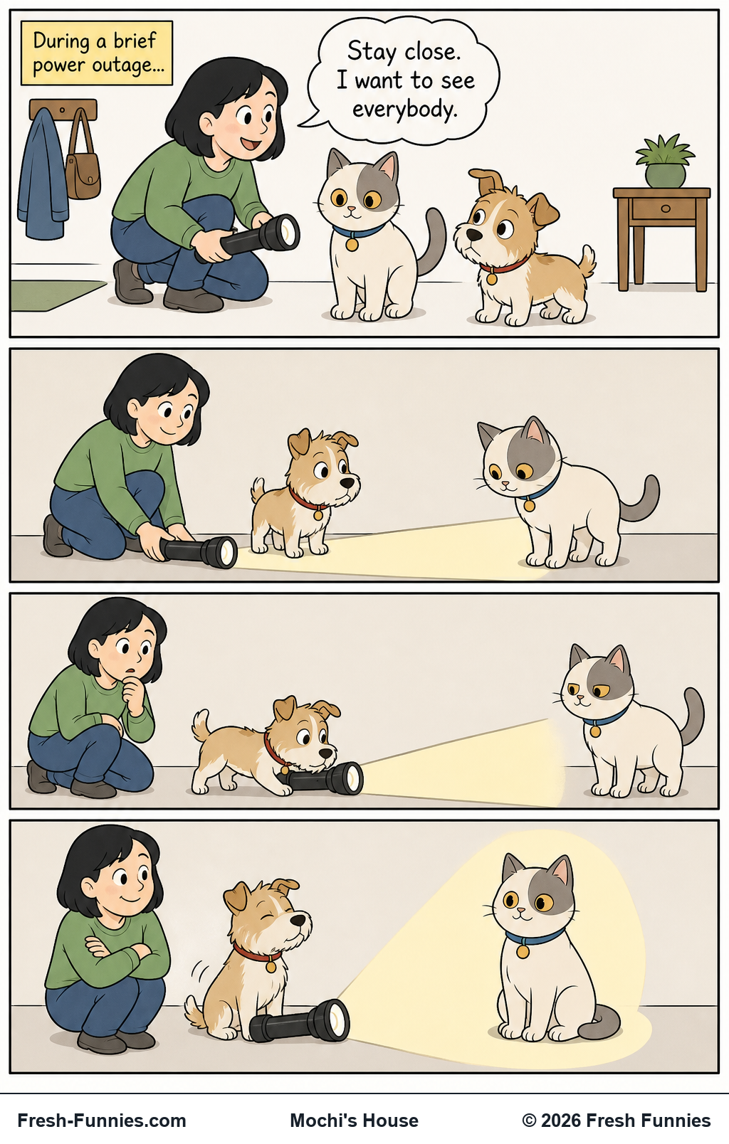 Mochi's House — Priority Lighting